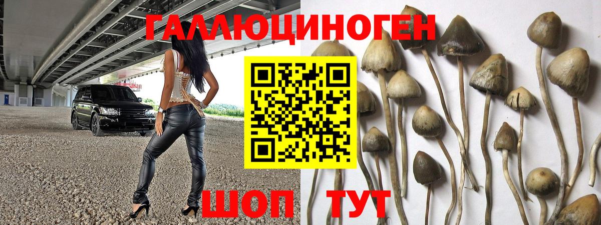 Псилоцибиновые грибы мухоморы  Вход с VPN  Жуковский  Псилоцибиновые грибы мицелий 